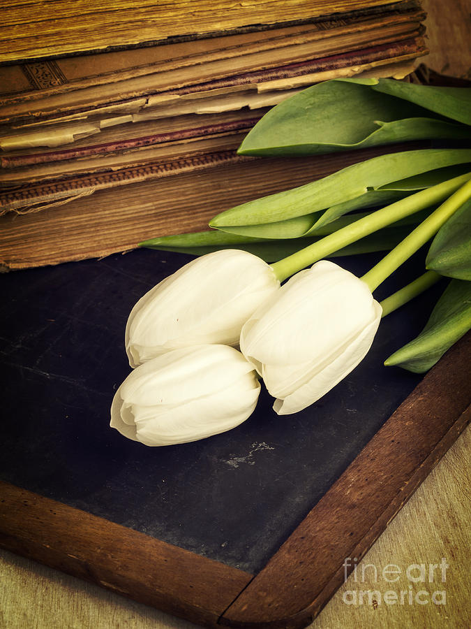 Flower Photograph - Still life with white tulips old books school slate by Edward Fielding