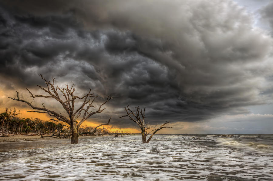 Sunset Photograph - Last Stand - Botany Bay Beach by Douglas Berry