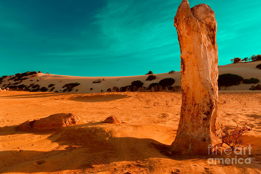 Desert Photograph - Still Standing by Julian Cook