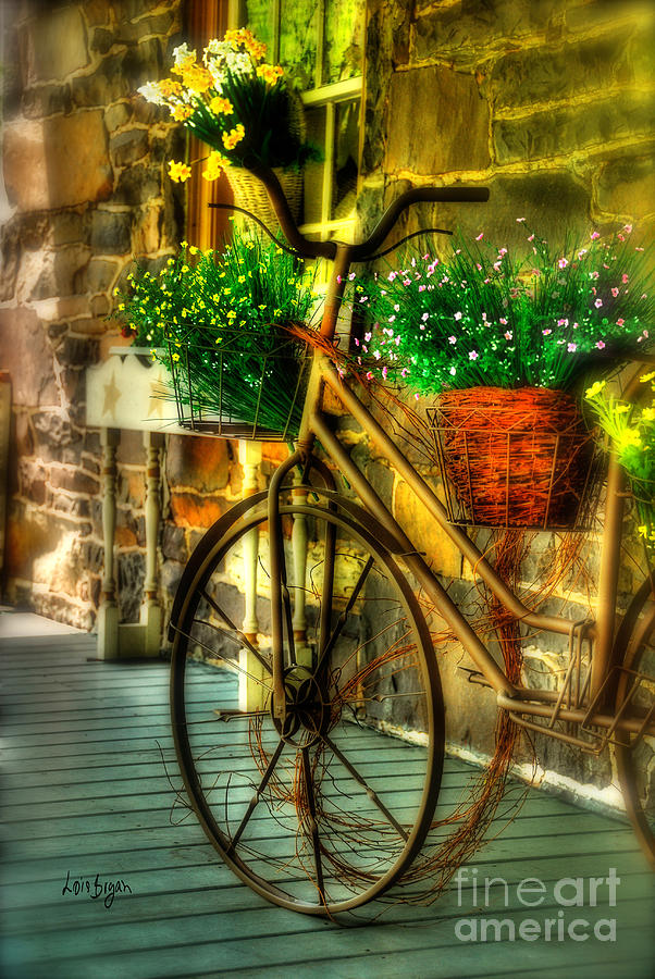 Bicycle Photograph - Still Useful by Lois Bryan