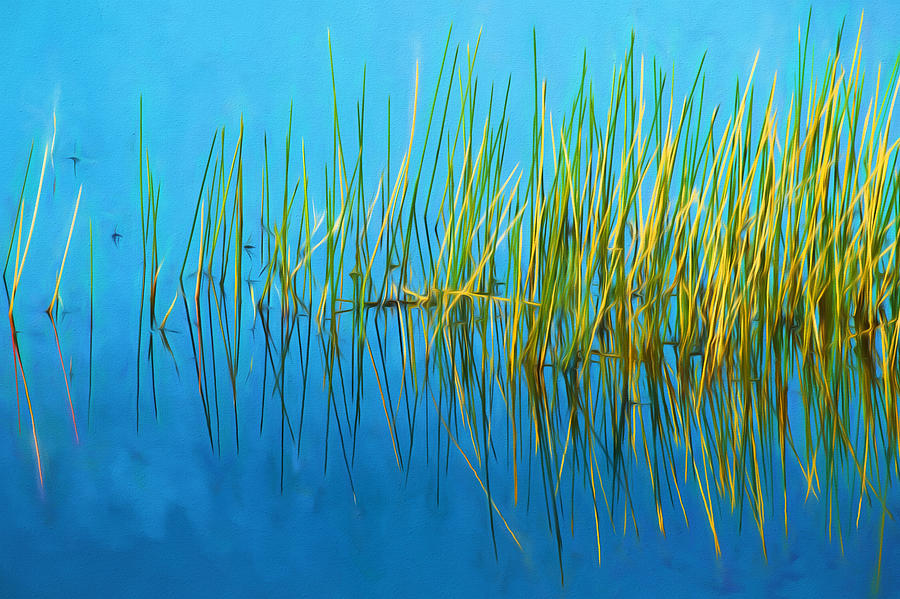 Still Water and Grasses Painted  Photograph by Rich Franco