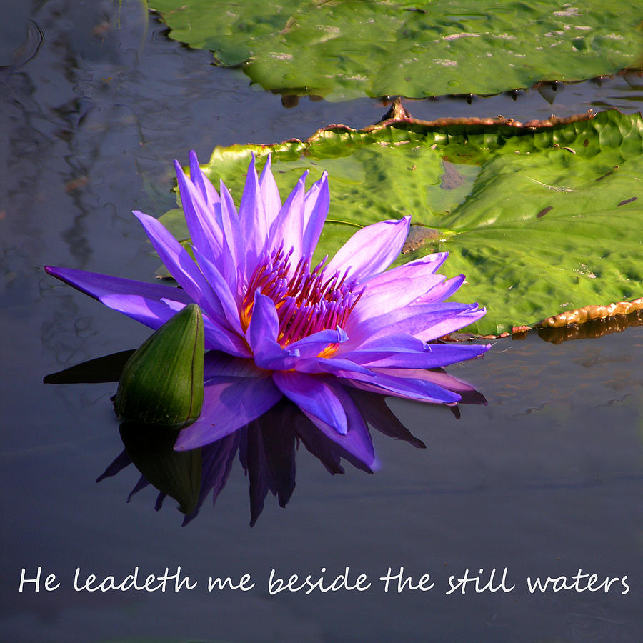 Still Waters Photograph by John Lautermilch Fine Art America