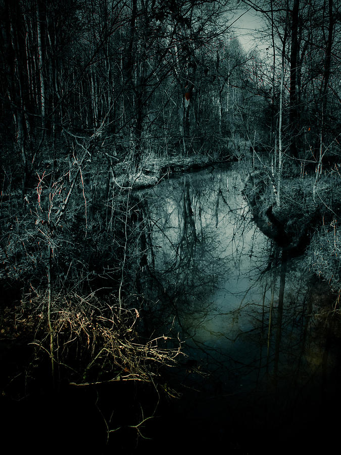 Tree Photograph - Still Waters Run Deep by Jessica Brawley