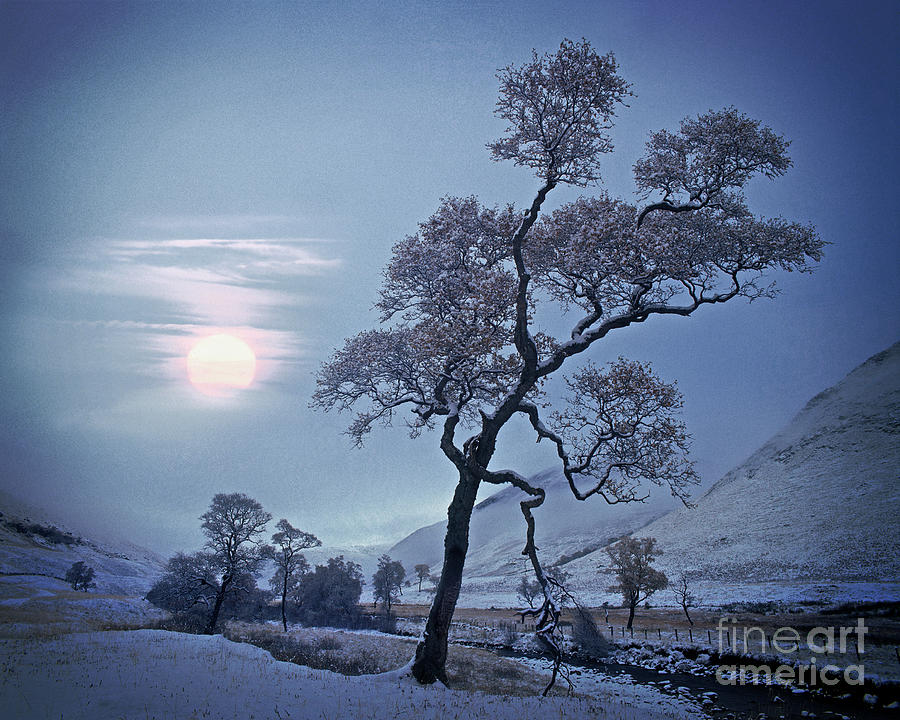 Stillness of the Glen Photograph by Edmund Nagele FRPS