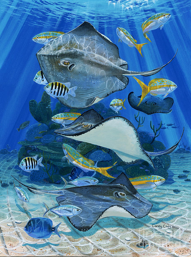 Turtle Painting - Stingray City Re0011 by Carey Chen