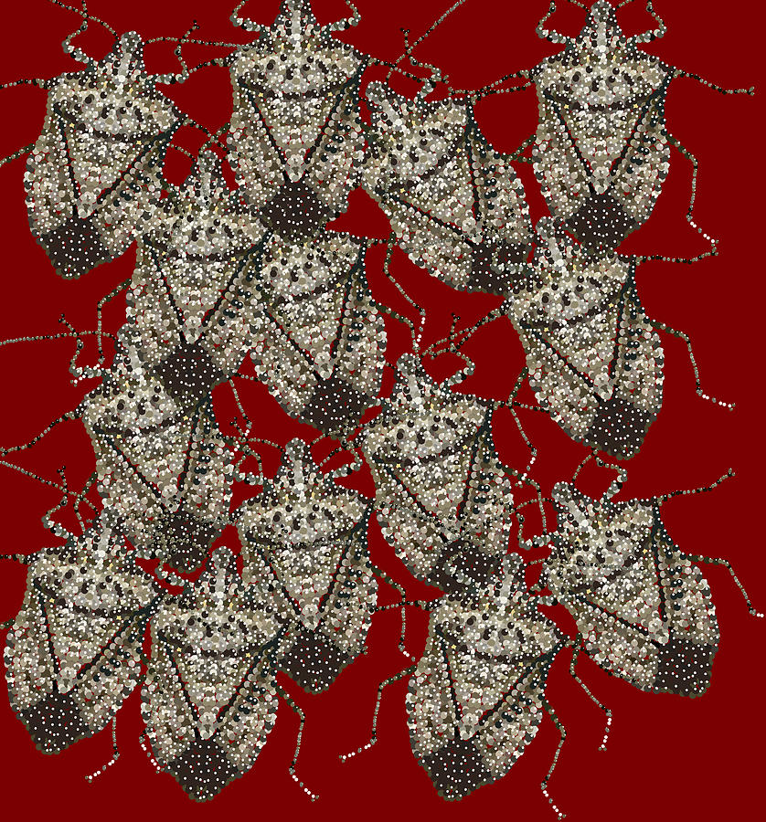 Bedazzled Digital Art - Stink Bugs Bedazzled by R  Allen Swezey