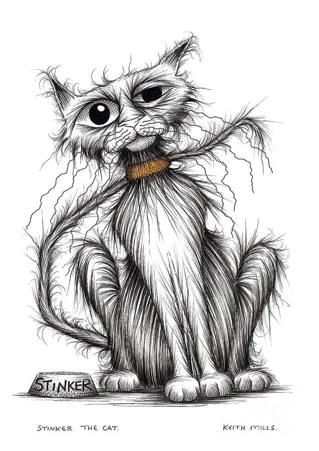 Stinker the cat Drawing by Keith Mills