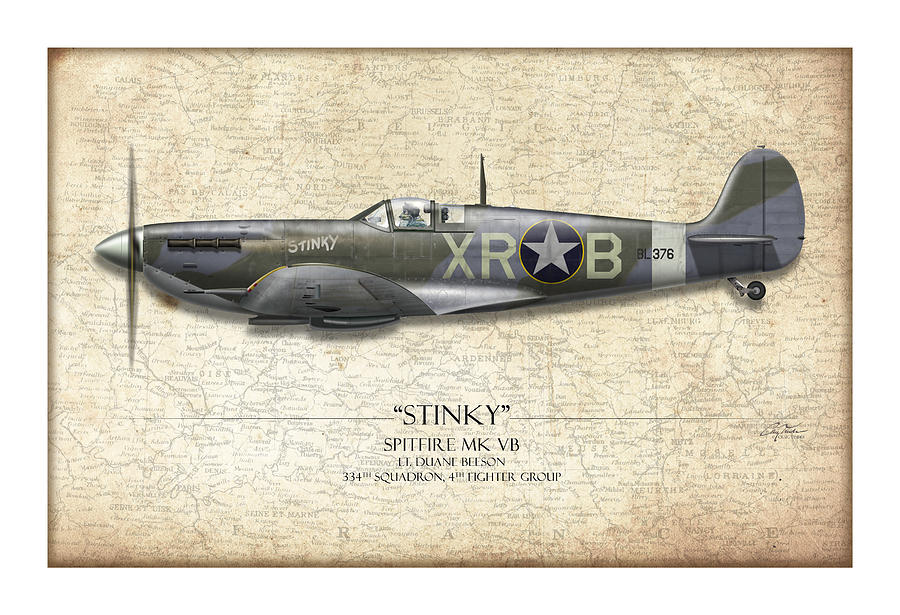 Stinky Duane Beeson Spitfire - Map Background Painting by Craig Tinder