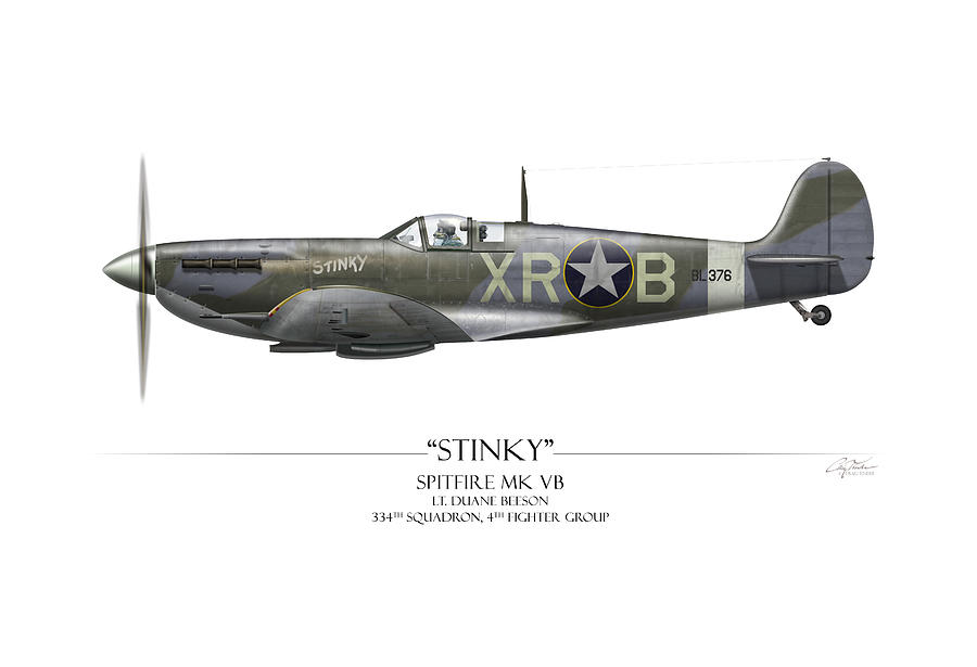 Boise Painting - Stinky Duane Beeson Spitfire - White Background by Craig Tinder