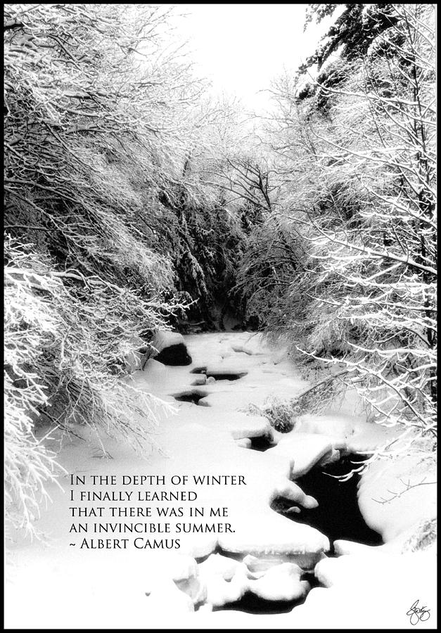 Stinson Brook - Camus Quote Print and Poster Photograph by Wayne King
