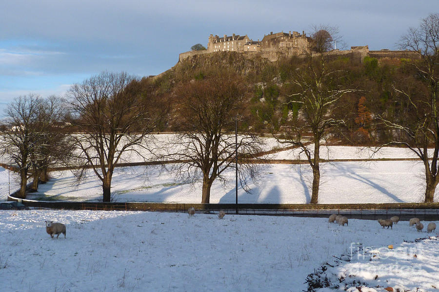 Stirling Castle - winter Photograph by Phil Banks