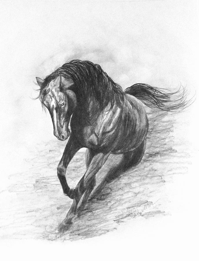 Horse Drawing - Stirring up the Dust by Sheri-Lynn Marean
