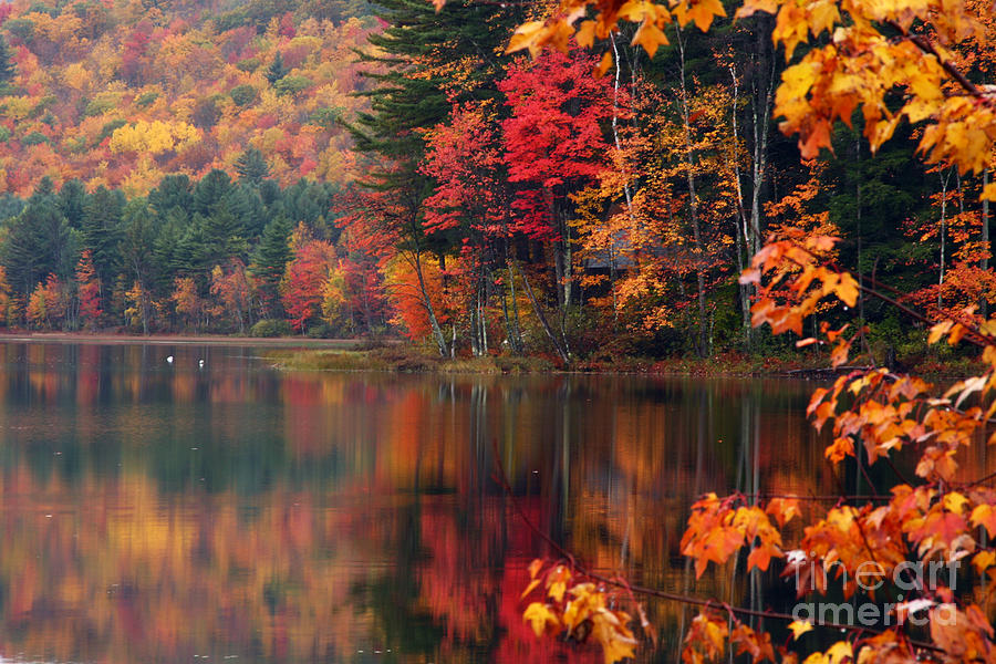 Stocker Pond New Hampshire I Photograph by Butch Lombardi