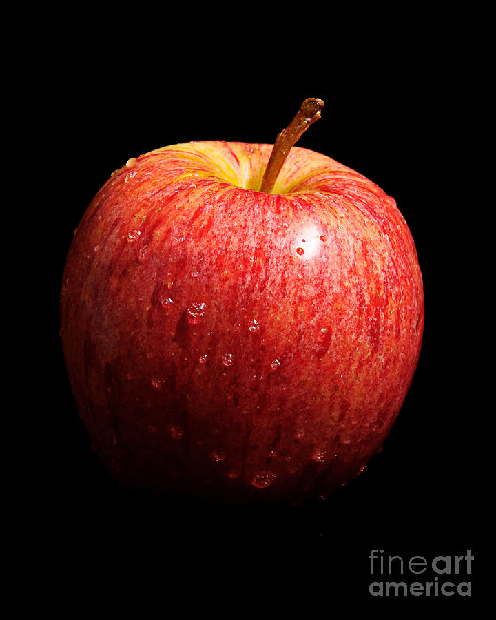 Stolen Apple Photograph by Andee Design