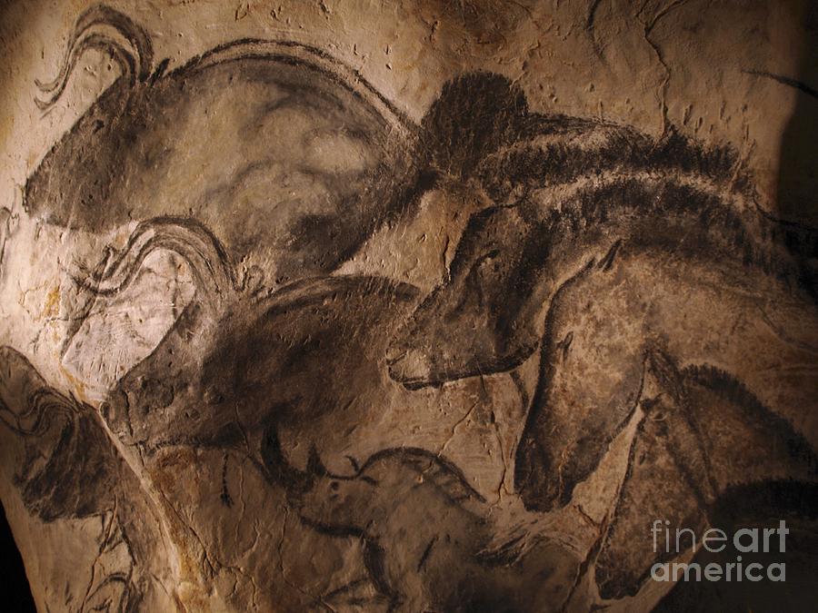 Paleolithic Photograph - Stone-age Cave Paintings, Chauvet, France by Javier Trueba/msf