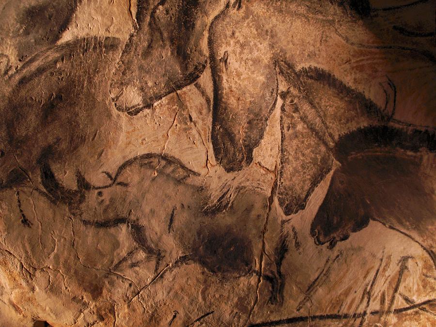 Stone-age Cave Paintings Photograph by Javier Truebamsf