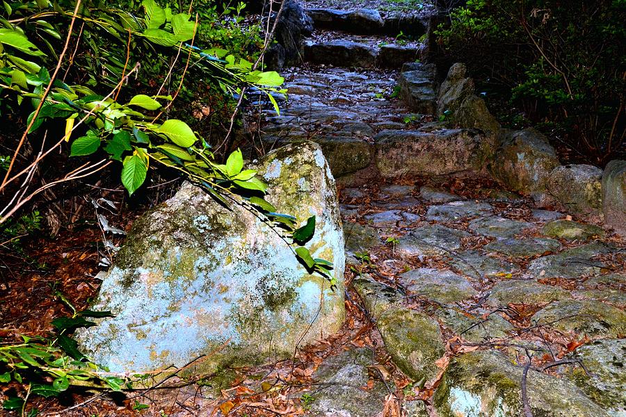 Summer Photograph - Stone and Pathway by James Potts