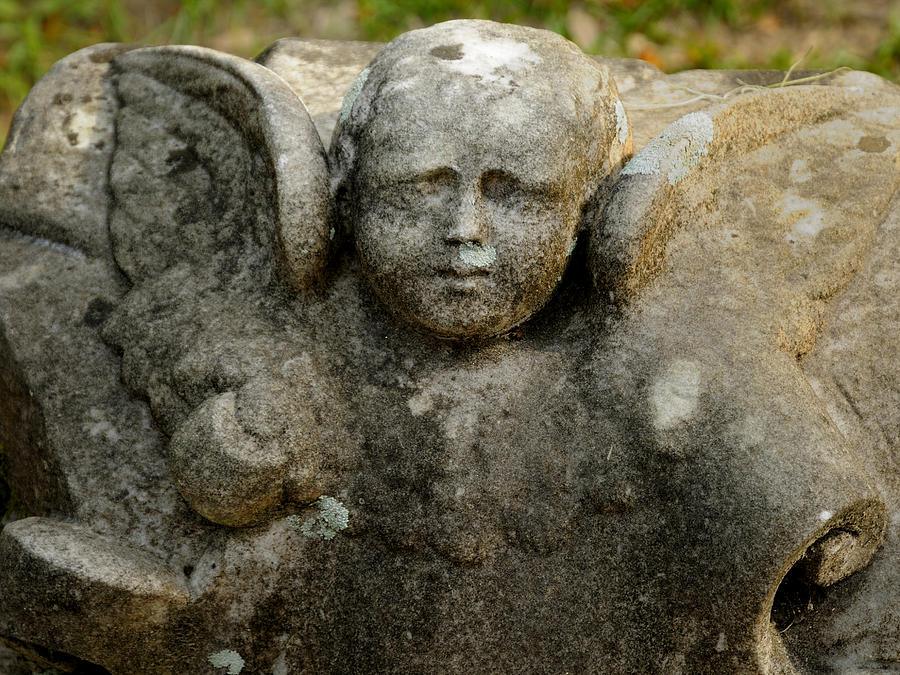 Stone angel Photograph by Bradford Martin