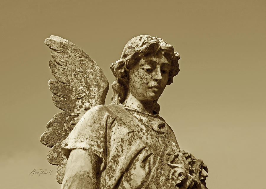Stone Angel in Sepia - photograph  Photograph by Ann Powell