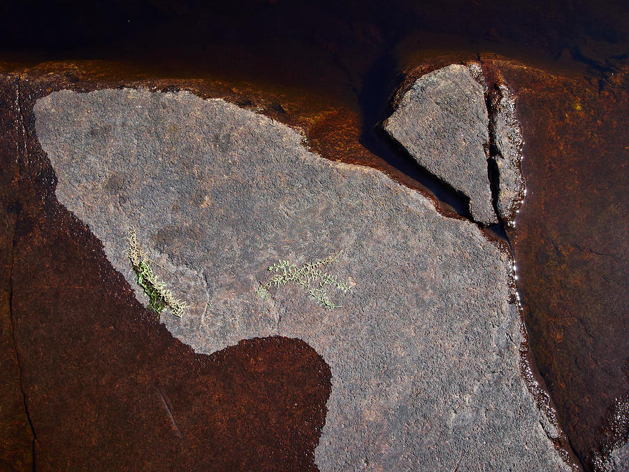 Nature Photograph - Stone Angel of Haukkajarvi by Jouko Lehto