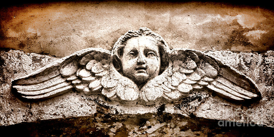 Stone Photograph - Stone Angel by Olivier Le Queinec