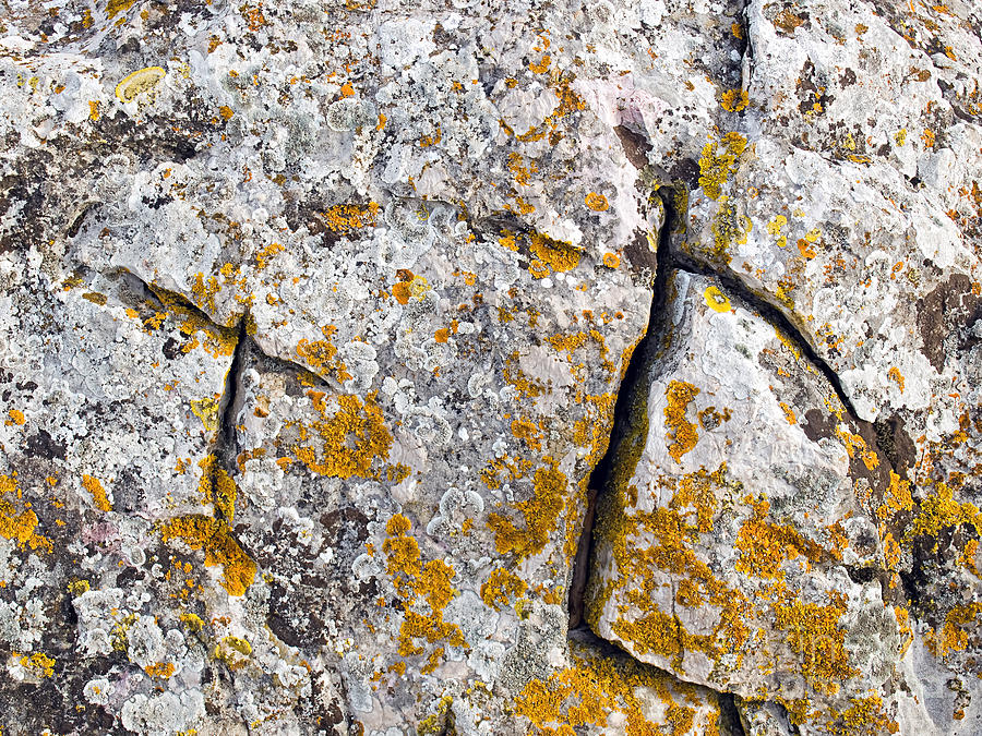 Nature Photograph - Stone background by Sinisa Botas