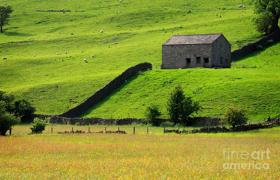 Stone barn and wildlfower meadow in Swaledale Photograph by Louise Heusinkveld