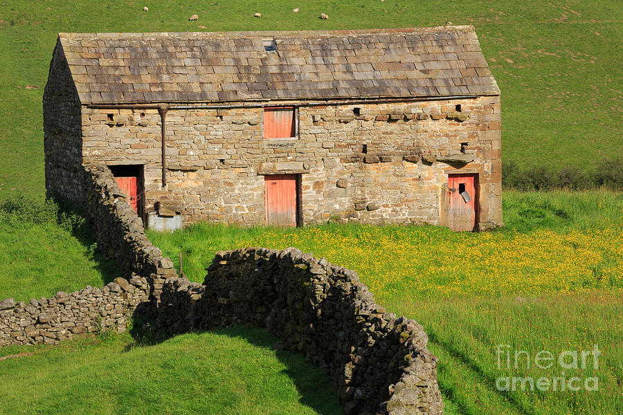 Stone barn with red doors in Swaledale Yorkshire Dales Photograph by Louise Heusinkveld