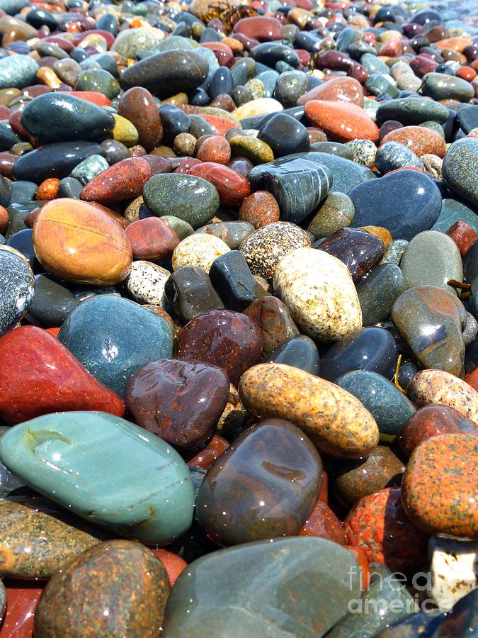 Stone Beach at Herring Cove Roosevelt Campobello International Park by Christine Stack Stone Beach at Herring Cove Roosevelt Campobello International Park by Christine Stack