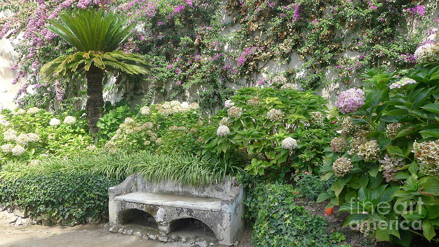 Stone Bench II Photograph by Nora Boghossian