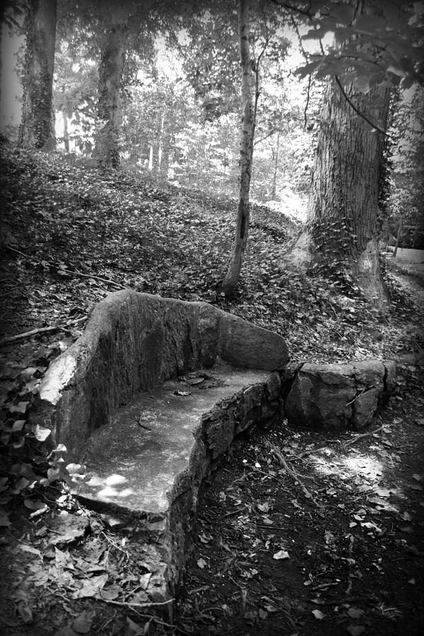 Stone Bench Photograph by Kelly Hazel