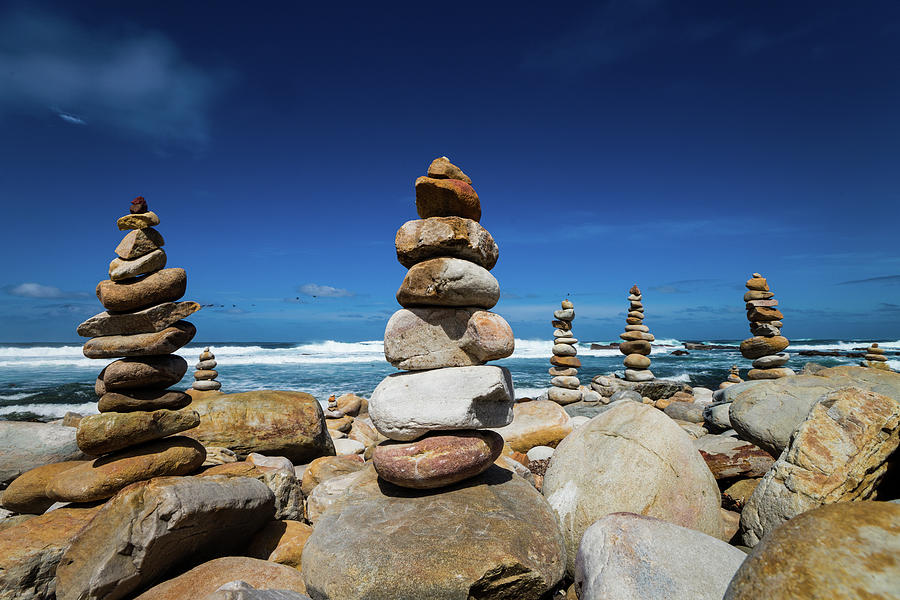 Nature Photograph - Stone Beside Cape Of Good Hope by Qianli Zhang