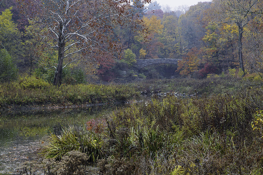 Stone Bridge in Autumn I Photograph by Michele Steffey