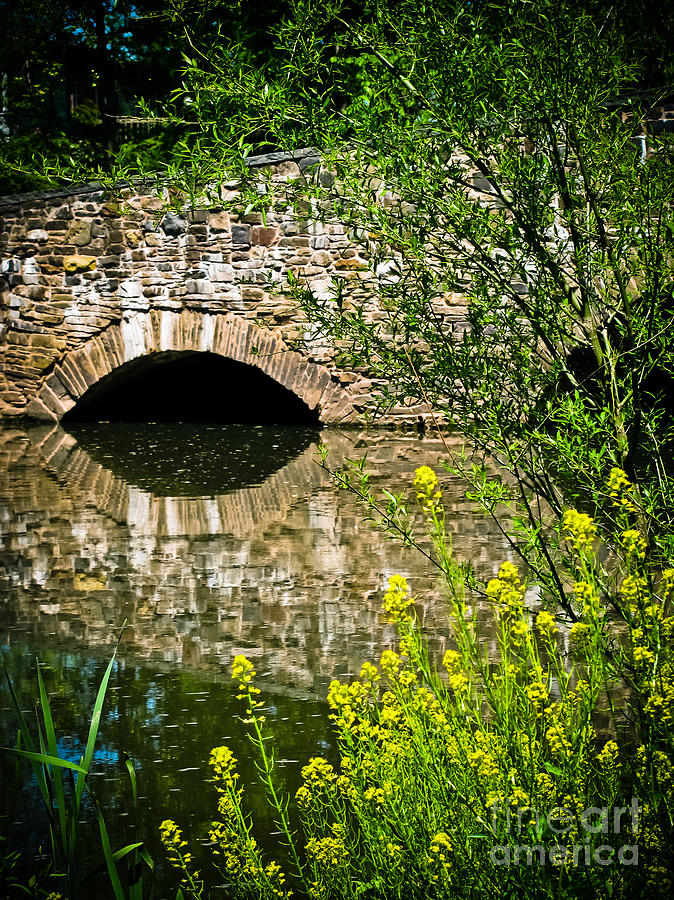 Bridge Photograph - Stone Bridge with Yellow Flowers by Colleen Kammerer