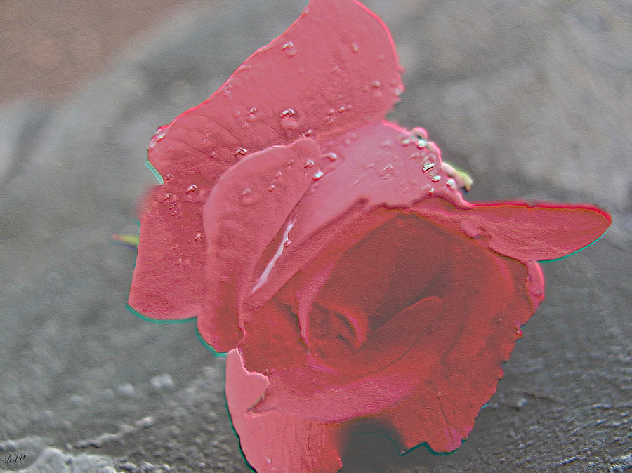Stone Cold Rose Photograph by Debra     Vatalaro