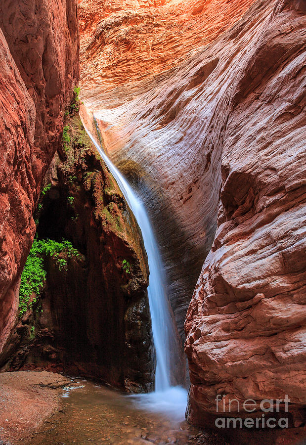 Grand Canyon National Park Photograph - Stone Creek Fall by Inge Johnsson