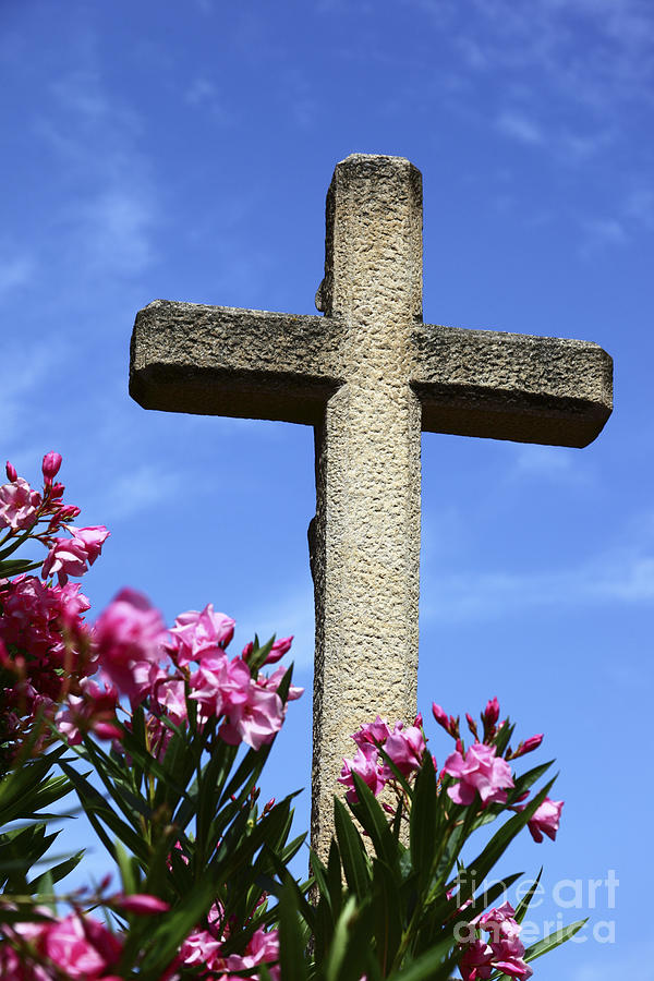 Stone Cross and Pink Flowers Photograph by James Brunker