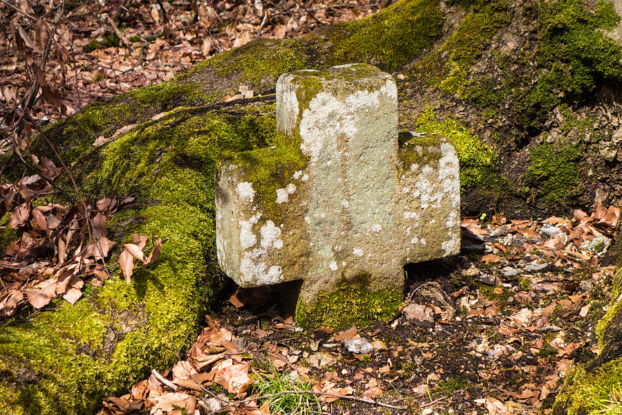 Stone Cross in the forest Photograph by Matthias Hauser