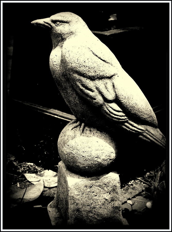 Stone Crow on Stone Ball Photograph by Kathy Barney