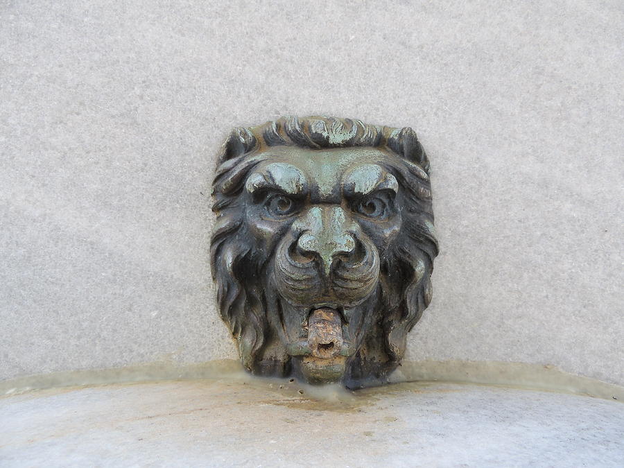 Lion Photograph - Stone Face by Aaron Martens