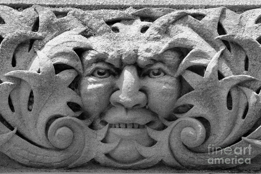 Stone Face I Photograph by Sarah Schroder