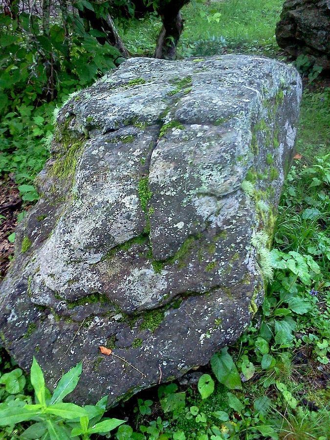 Stone Face Photograph by Stacy C Bottoms