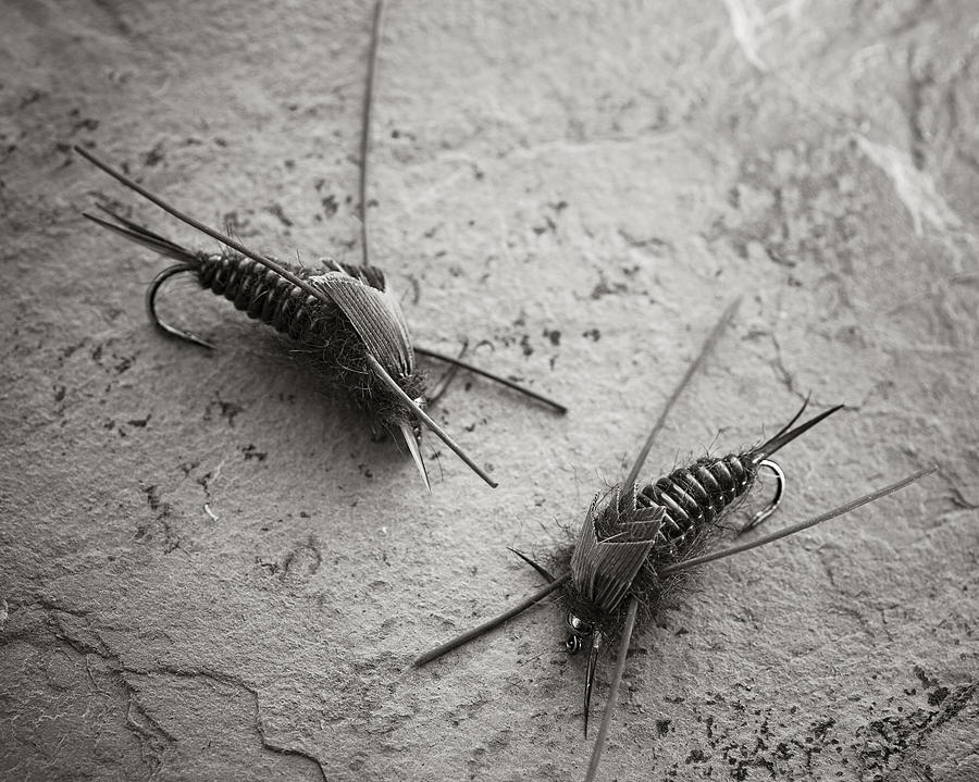 Black And White Photograph - Stone Flies by Chad Simcox
