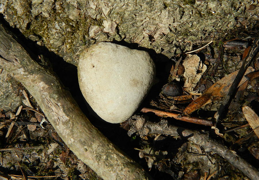 Stone Heart Photograph by Kathy Barney