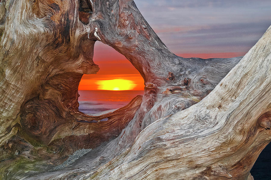 Stone Lagoon Sunset Photograph by Greg Nyquist