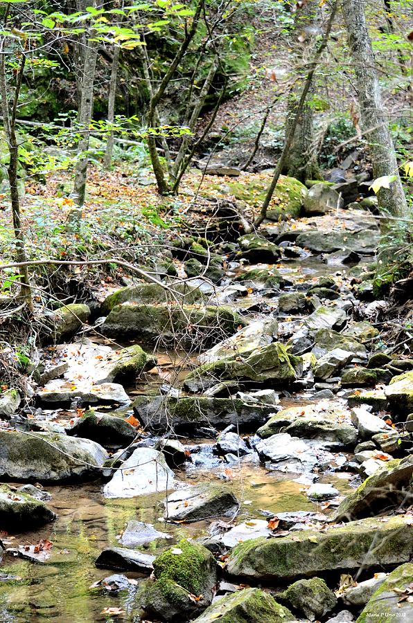 Stone Laiden Stream Photograph by Maria Urso - Fine Art America