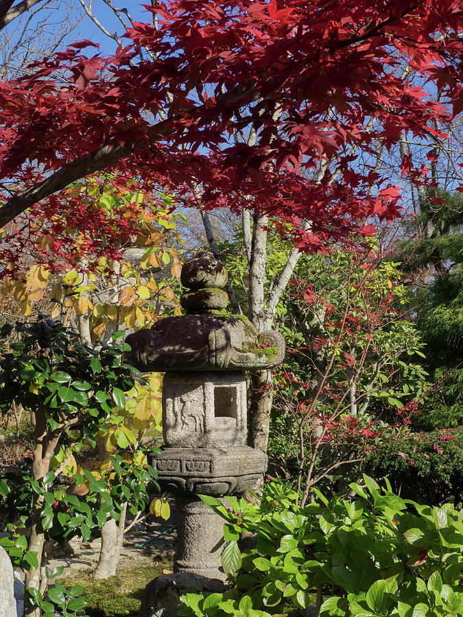 Stone Lantern And Autumnal Maple Tree Photograph by Panoramic Images