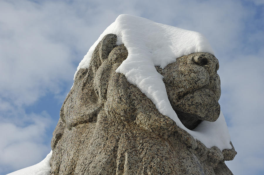 Stone lion covered with snow Photograph by Matthias Hauser