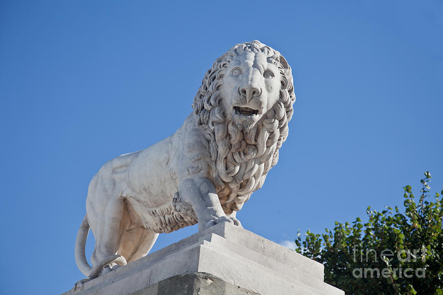 Stone Lion Photograph by Liz Leyden
