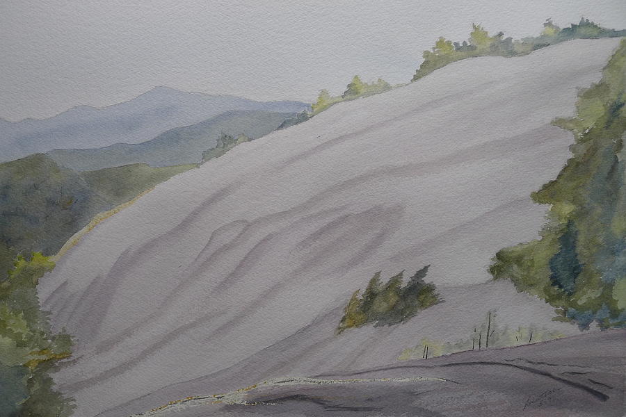 Stone Mountain Summit Painting by Joel Deutsch